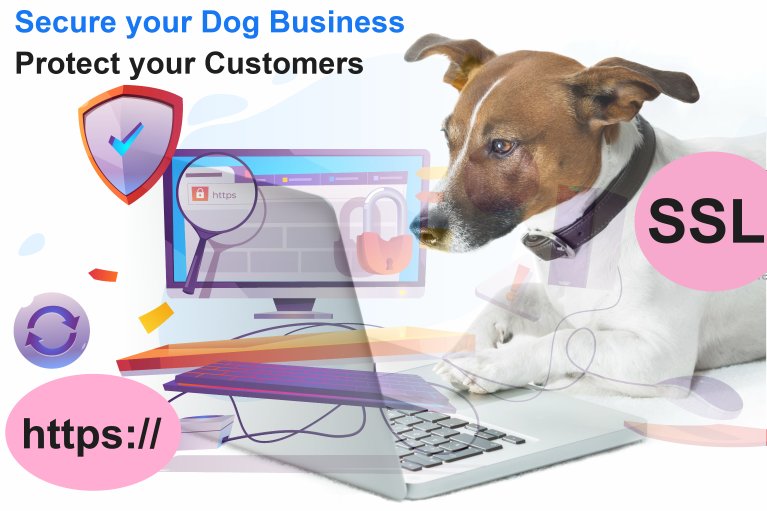 SSL Security for your Dog Business