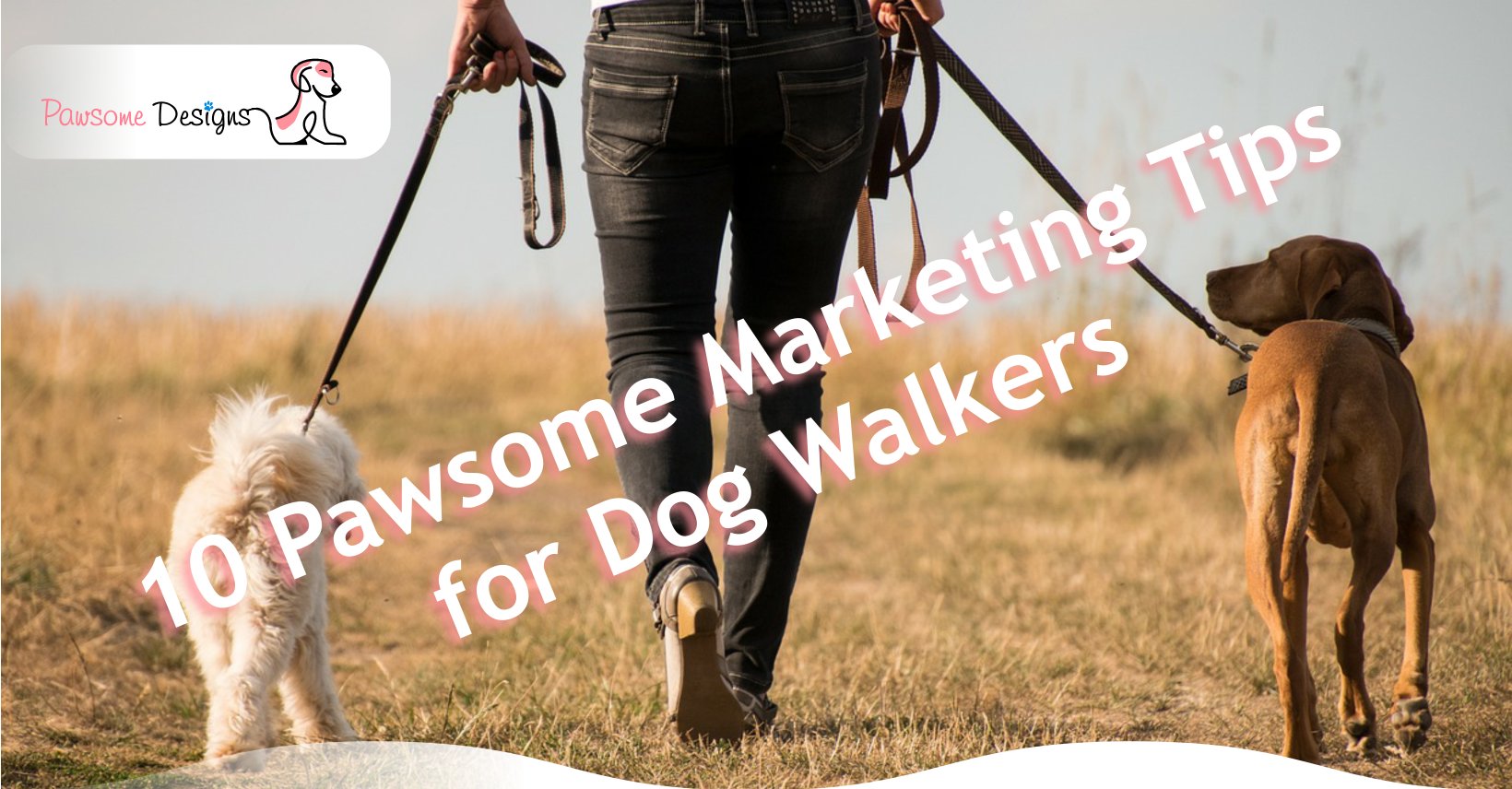 10 Simple Marketing Tips for Dog Walkers that actually work!
